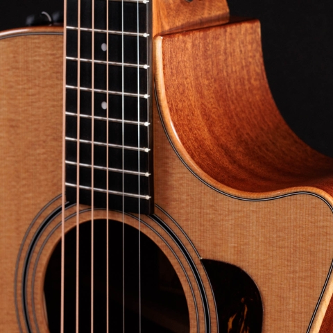 欲しいの 300 Guitars Taylor | Guitars Acoustic Series ギター